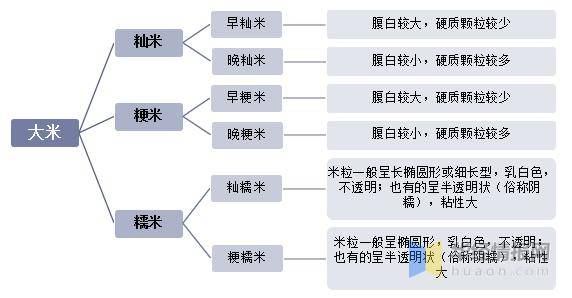 emc易倍：2020年中国大米行业现状及趋势分析(图1)